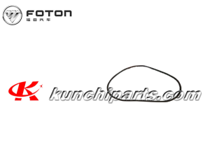 Foton Auman Weichai P161200090187 Cintura 10 * 1075la Perfect Power WMDL